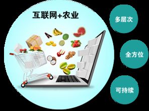 農產品觸網 互聯網時代，誰是下一個超級代言人？